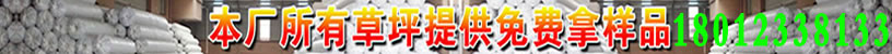 扬州畅优人造草坪联系电话